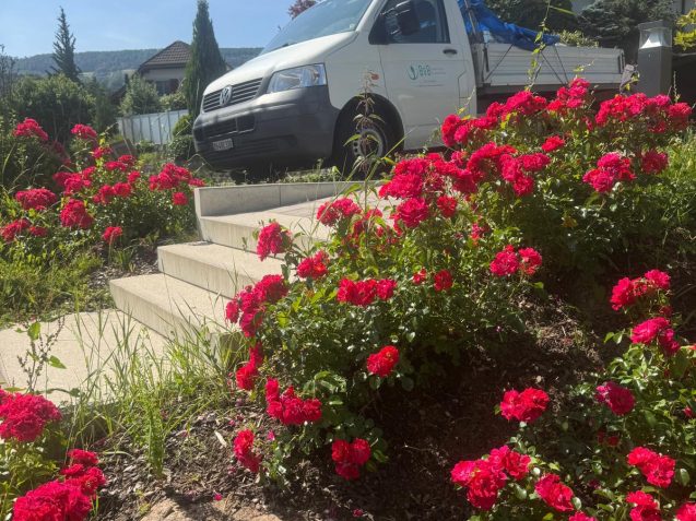 26466d28-9a7c-46e6-b757-289882766d18