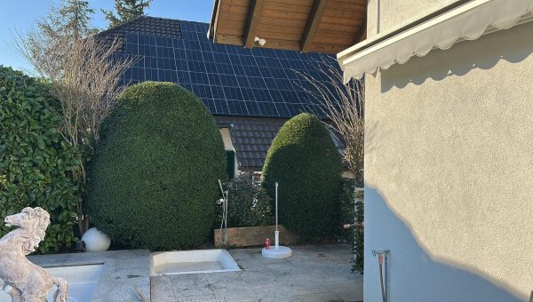 2c06970a-2522-4aee-bf3c-e118375bdb6d