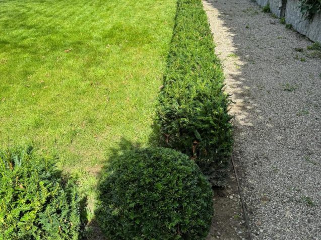 7b92f8b4-c367-4b63-863c-fc3d97ea8268