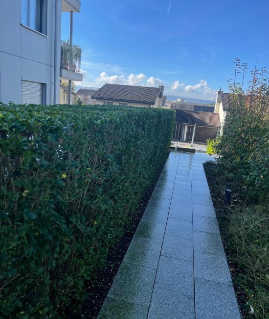 WhatsApp Image 2025-11-01 at 7.57.55 PM