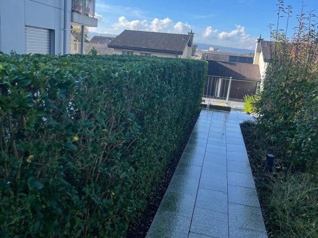 WhatsApp Image 2025-11-01 at 7.57.55 PM