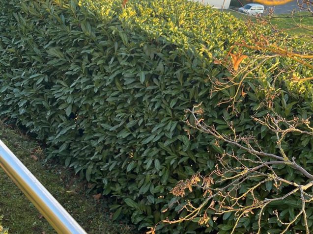 WhatsApp Image 2025-11-01 at 7.58.10 PM