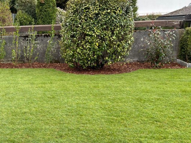 WhatsApp Image 2025-11-01 at 7.58.45 PM