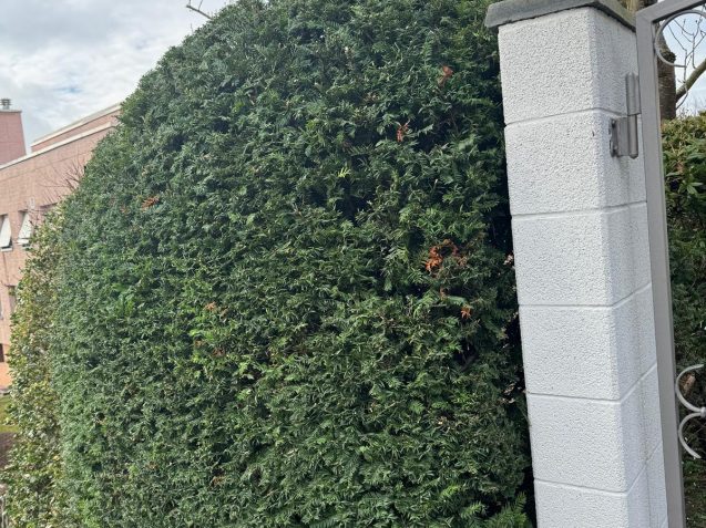 WhatsApp Image 2025-11-01 at 7.59.13 PM