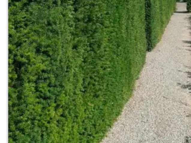 WhatsApp Image 2025-11-01 at 7.59.32 PM