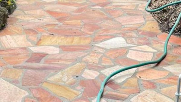 WhatsApp Image 2025-11-01 at 8.00.08 PM