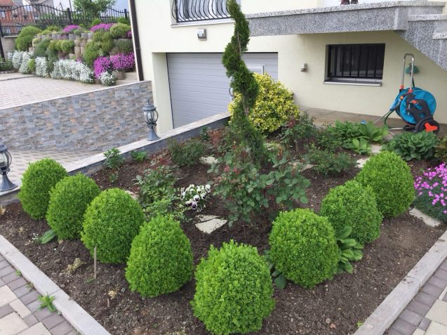 WhatsApp Image 2025-11-01 at 8.00.41 PM