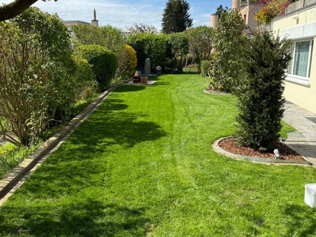 WhatsApp Image 2026-03-28 at 6.45.13 PM