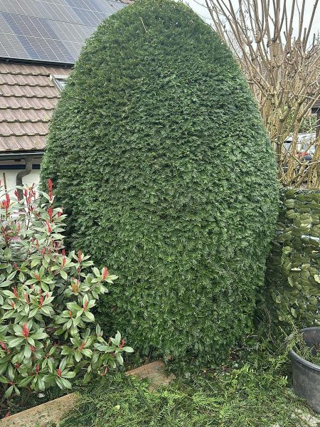 c1abe635-a331-4d9e-99c0-7172c5245b82