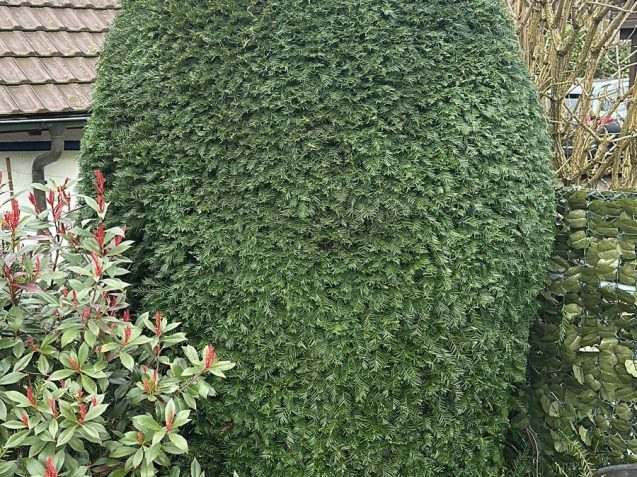 c1abe635-a331-4d9e-99c0-7172c5245b82